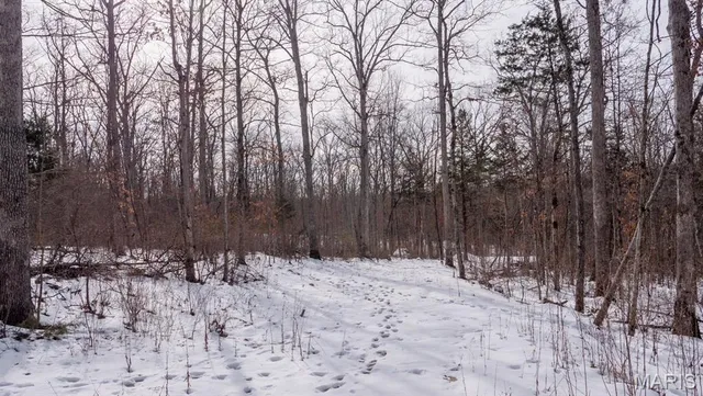 $69,900 | 29129 Pinnacle Lake Road, New Florence, MO 63363