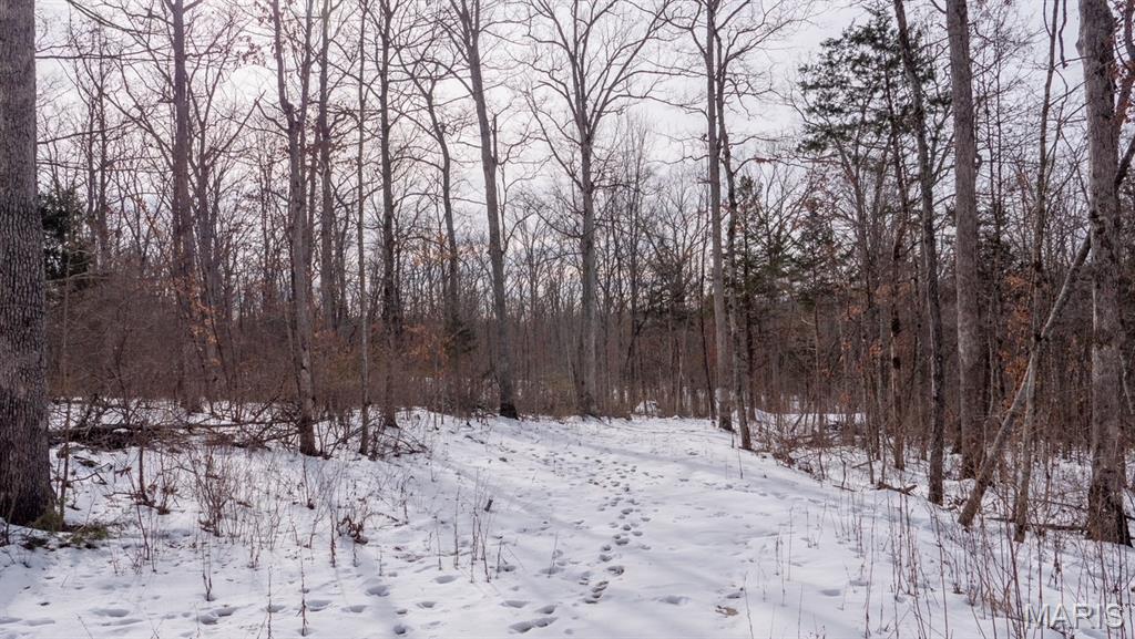 29129 Pinnacle Lake Road New Florence, MO 63363 - Photo 4 of 13