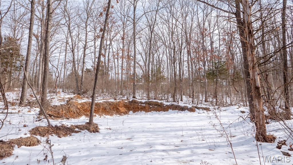 29129 Pinnacle Lake Road New Florence, MO 63363 - Photo 5 of 13