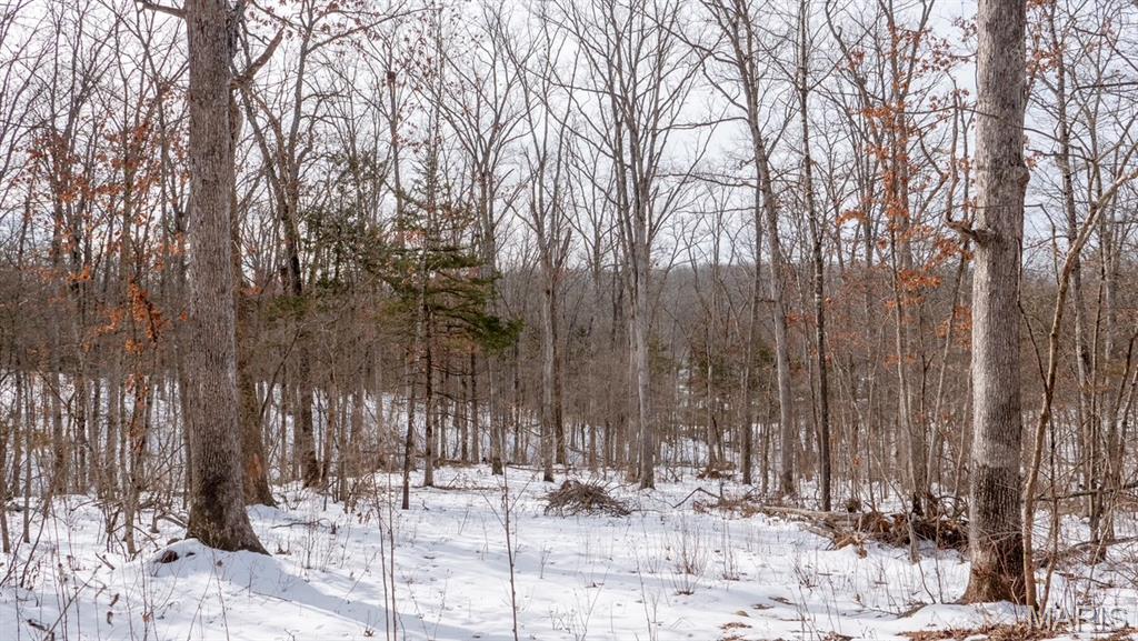 29129 Pinnacle Lake Road New Florence, MO 63363 - Photo 6 of 13