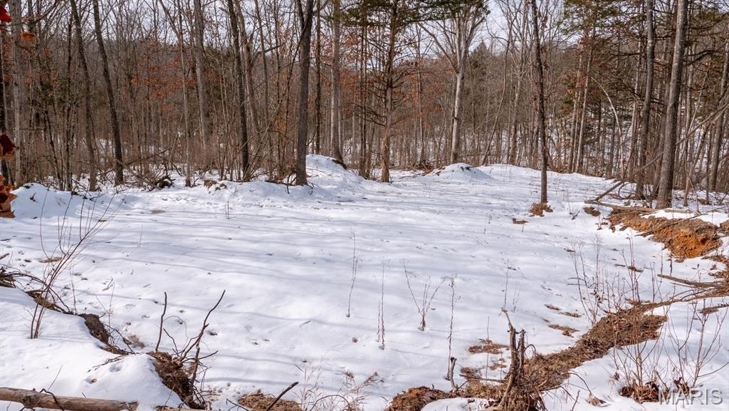 29129 Pinnacle Lake Road New Florence, MO 63363 - Photo 7 of 13