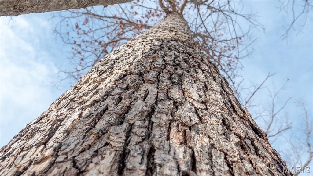 29129 Pinnacle Lake Road New Florence, MO 63363 - Photo 8 of 13