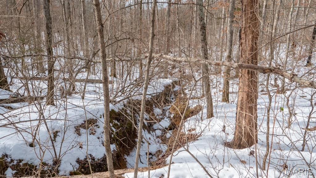 29129 Pinnacle Lake Road New Florence, MO 63363 - Photo 9 of 13