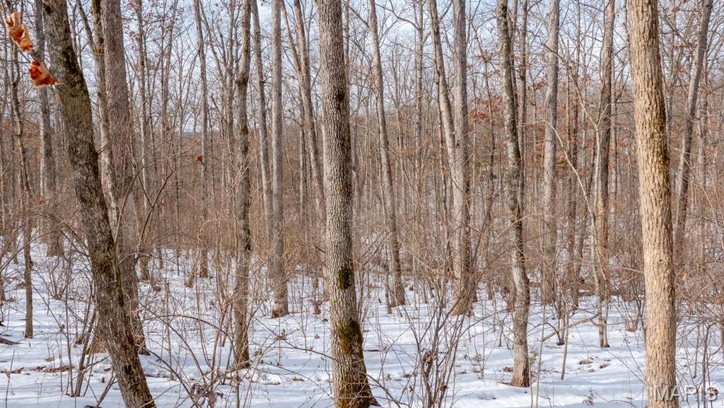 29129 Pinnacle Lake Road New Florence, MO 63363 - Photo 10 of 13