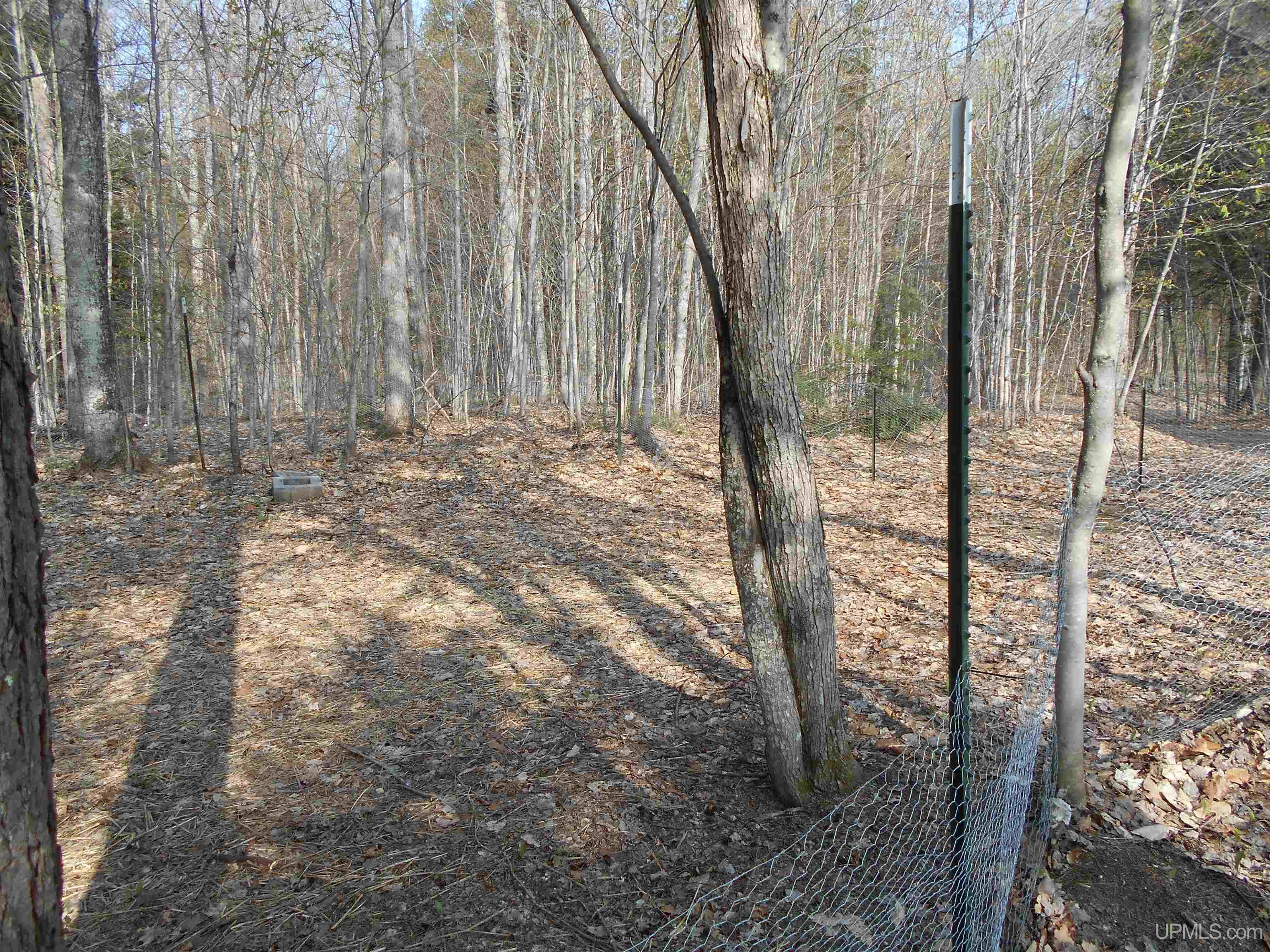 6345 South Northrough Road Wetmore, MI 49895 - Photo 43 of 67