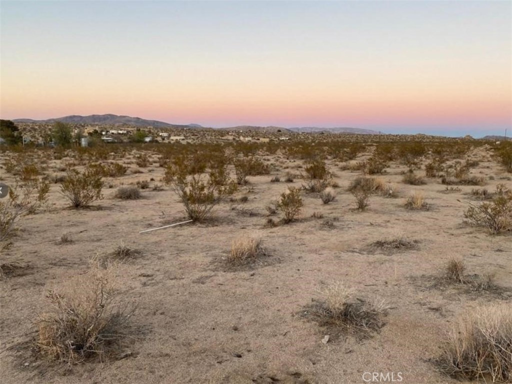 5555 Oleta Road Johnson Valley, CA 92285 - Photo 29 of 43