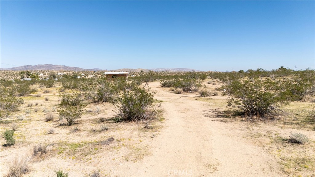 5555 Oleta Road Johnson Valley, CA 92285 - Photo 7 of 43