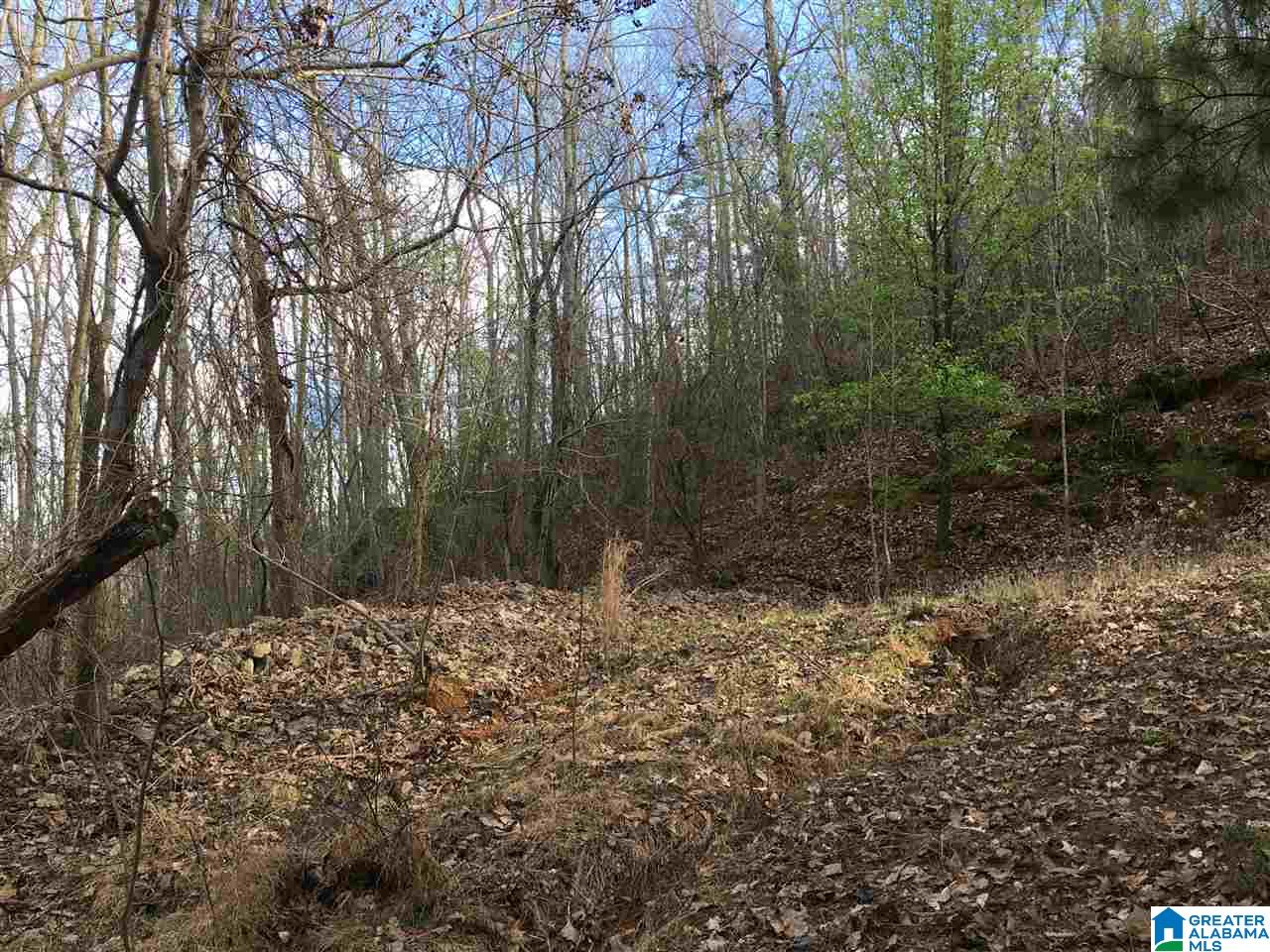 230 County Line Road Oxford, AL 36203 - Photo 16 of 50