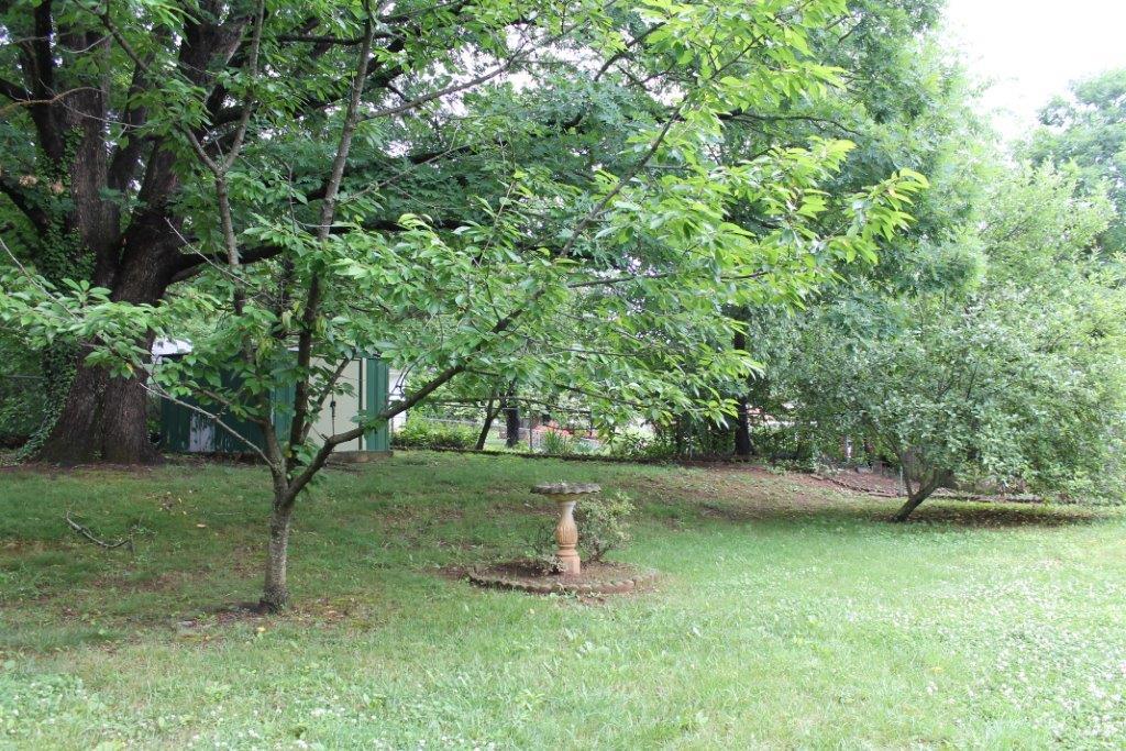 3236 Rasmont Road Roanoke, VA 24018 - Photo 15 of 22 IMG_3966