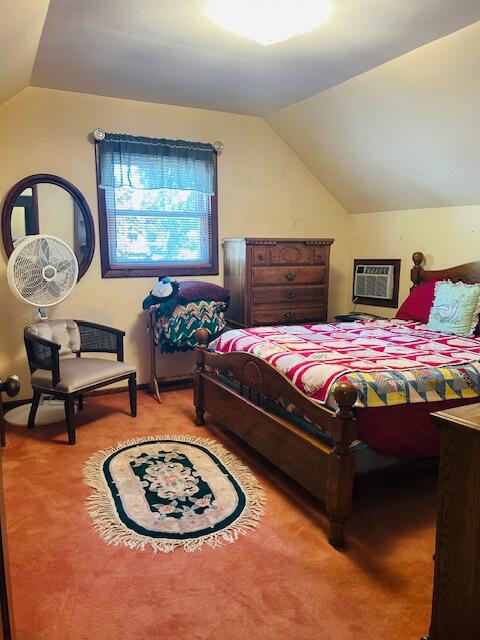 253 West Stimson Avenue Reed City, MI 49677 - Photo 15 of 23 IMG_1431