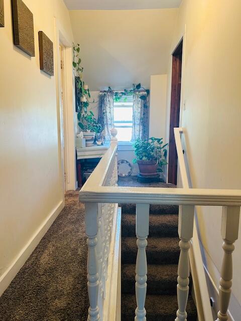253 West Stimson Avenue Reed City, MI 49677 - Photo 18 of 23 IMG_1435