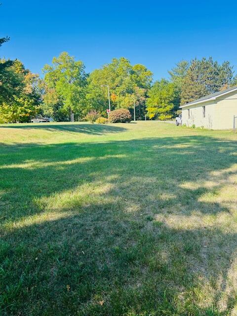 253 West Stimson Avenue Reed City, MI 49677 - Photo 20 of 23 IMG_1453