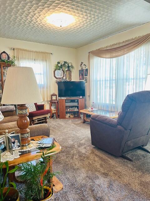 253 West Stimson Avenue Reed City, MI 49677 - Photo 5 of 23 IMG_1429
