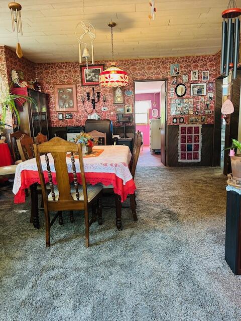 253 West Stimson Avenue Reed City, MI 49677 - Photo 6 of 23 IMG_1448