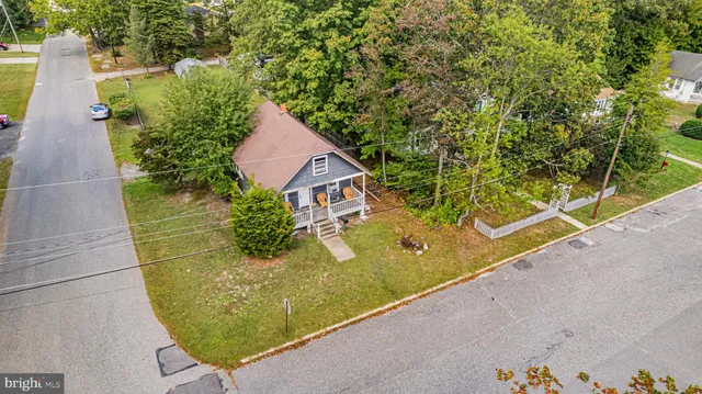 a view of a yard with plants