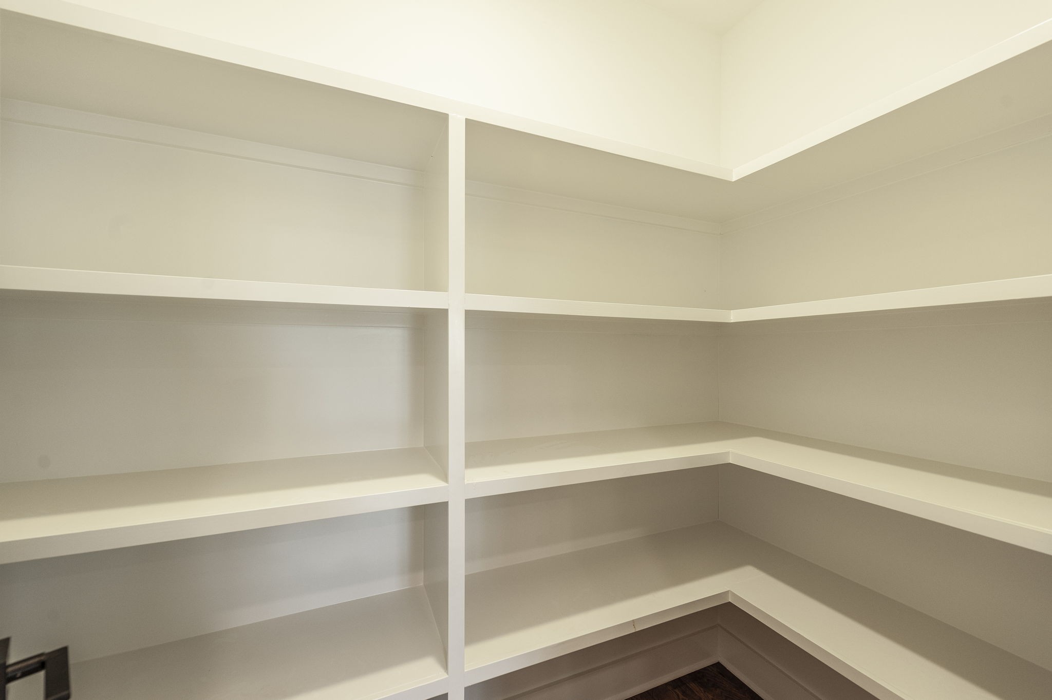 1060 Millbrook Way Gallatin, TN 37066 - Photo 28 of 79 a view of an empty walk in closet