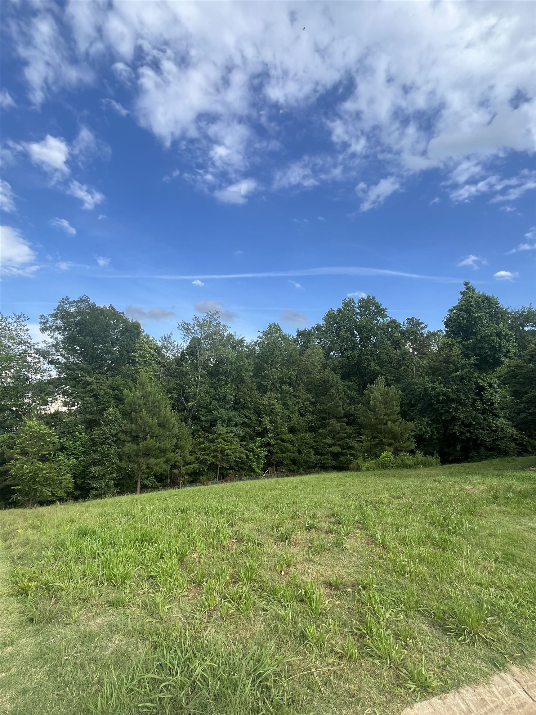 525 World Tour Drive Inman, SC 29349 - Photo 1 of 8