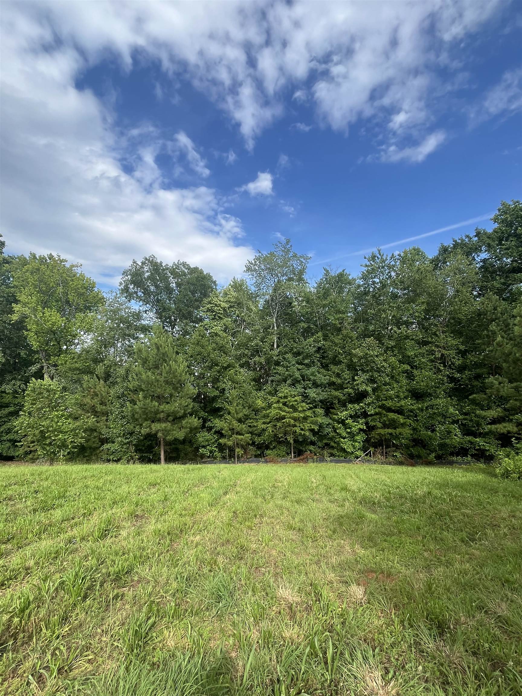 525 World Tour Drive Inman, SC 29349 - Photo 4 of 8