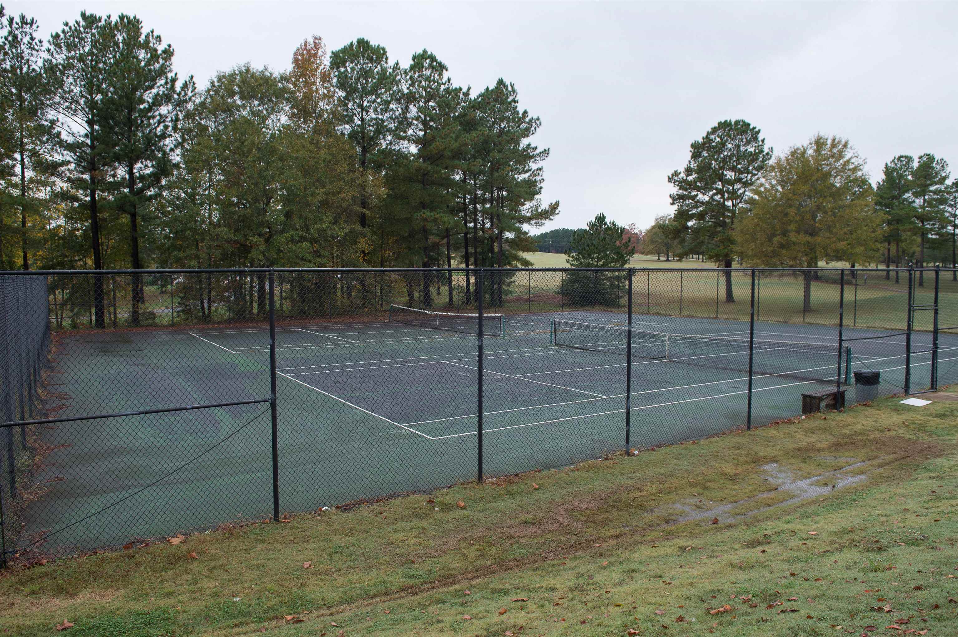 525 World Tour Drive Inman, SC 29349 - Photo 7 of 8