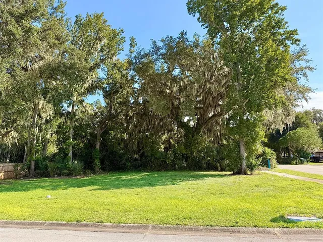 a view of a yard with a trees