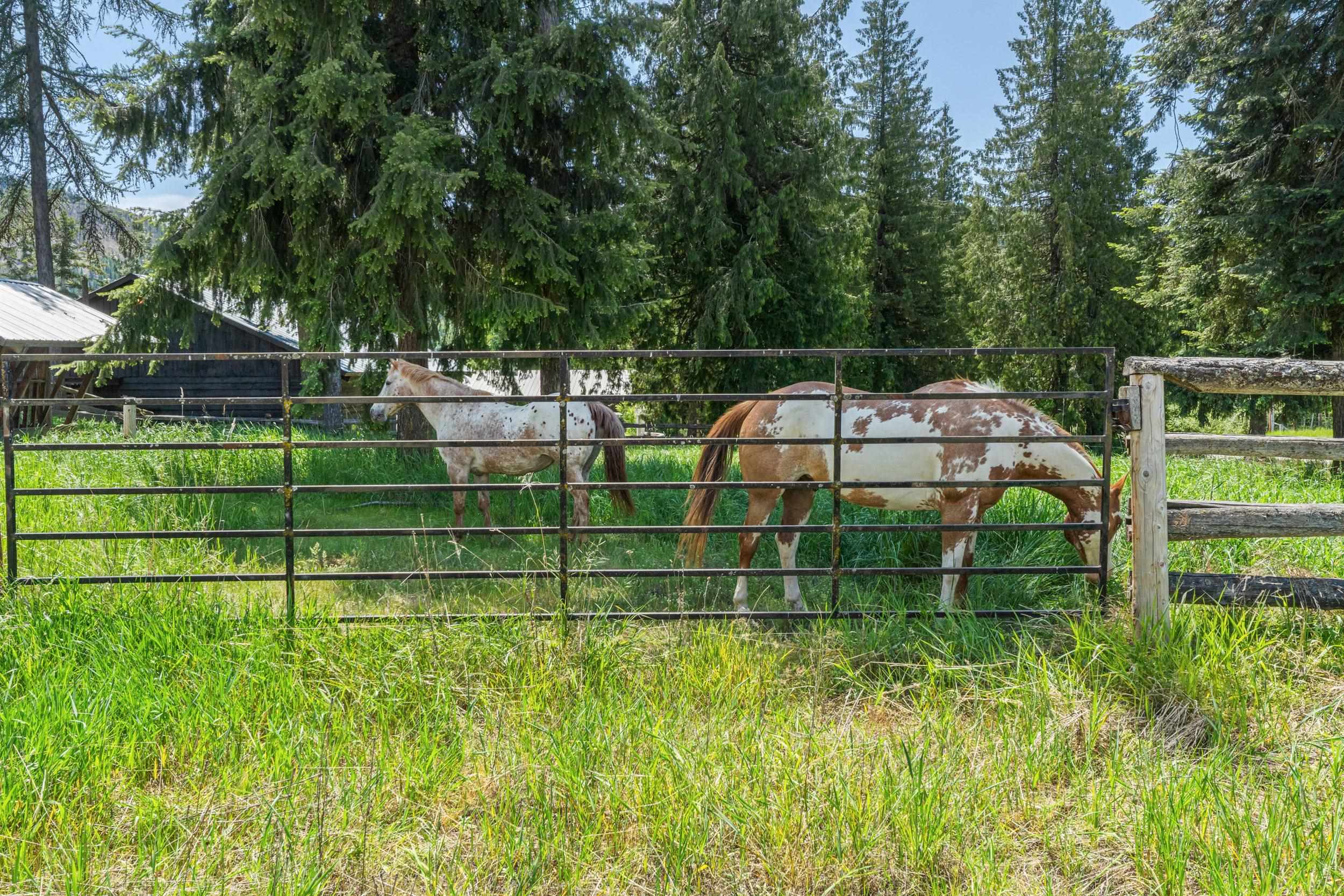 252 Davaz Carlton Road Newport, WA 99156 - Photo 25 of 41