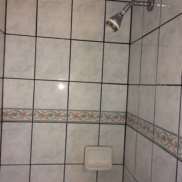 3909 Reche Road, Unit 175 Fallbrook, CA 92028 - Photo 20 of 24 Tile shower