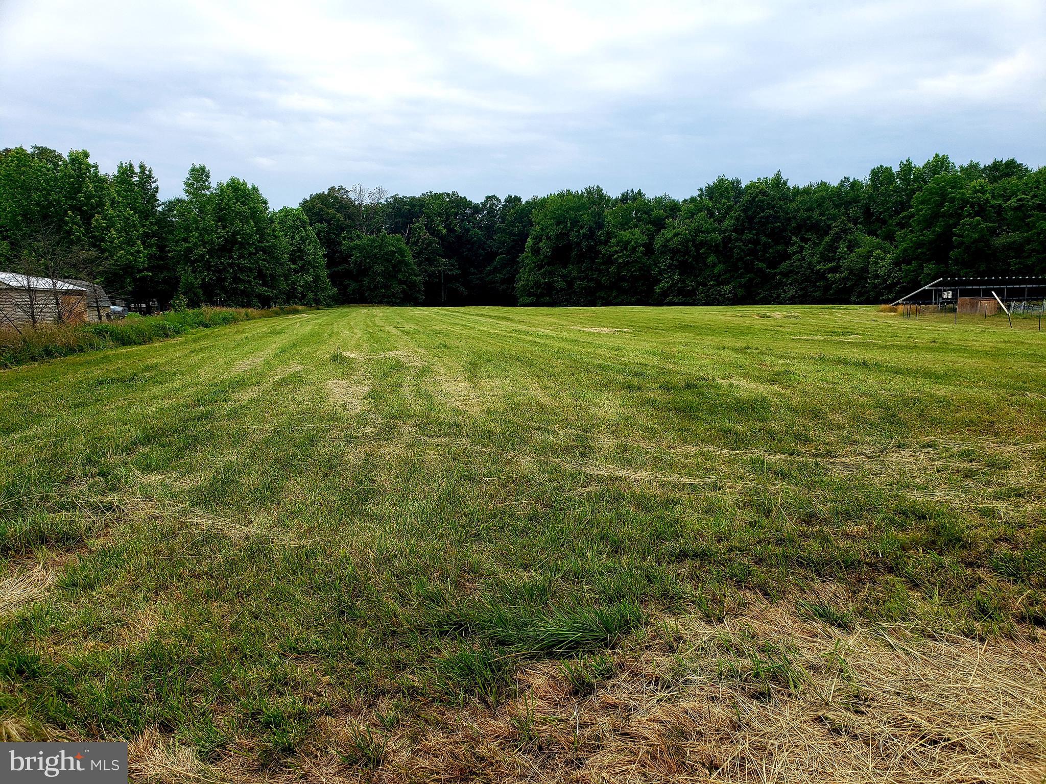 15407 Brandywine Road Brandywine, MD 20613 - Photo 16 of 16 Huge open field!
