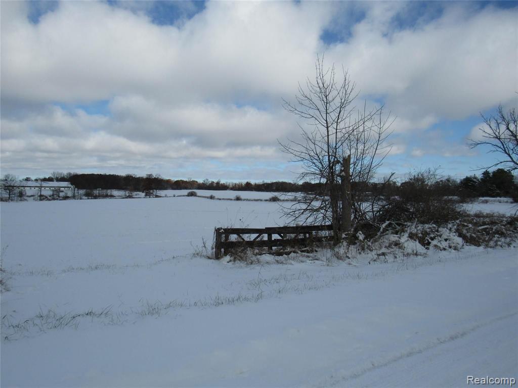 0 West Ray Road Swartz Creek, MI 48473 - Photo 3 of 3
