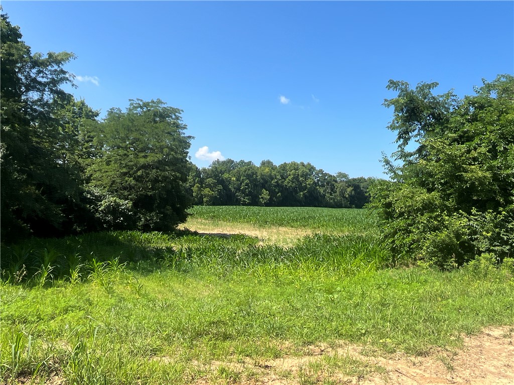 0 Stephen Young Road Camden, OH 45311 - Photo 45 of 57