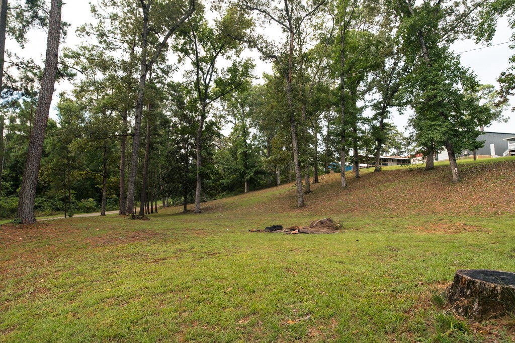 305 Eastwood Loop Hemphill, TX 75948 - Photo 30 of 35 a view of yard with swimming pool and trees
