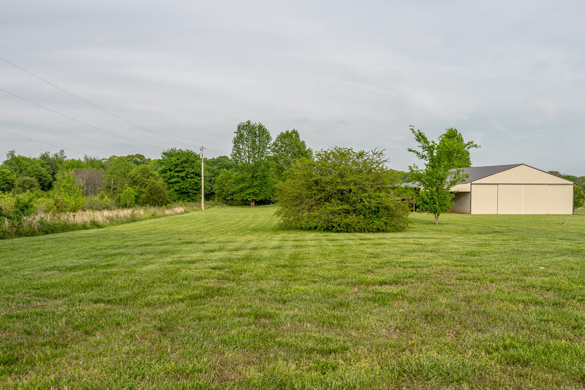 5369 Hoods Branch Road Springfield, TN 37172 - Photo 3 of 20 a view of a garden