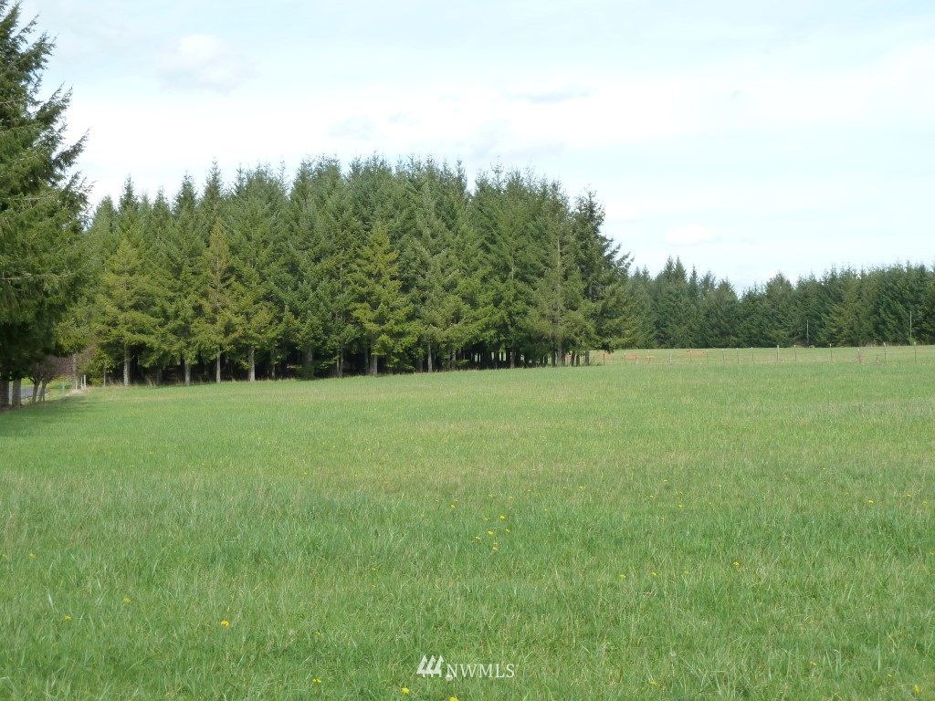 0 East Brown Road Chehalis, WA 98532 - Photo 3 of 7