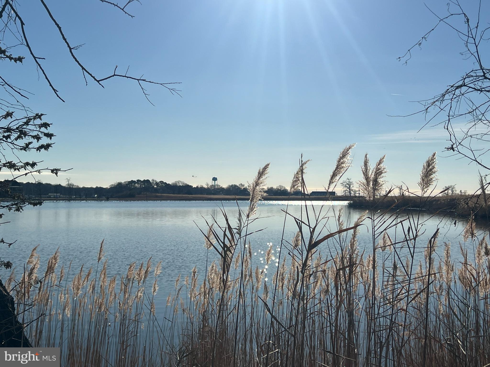 a view of a lake with a bridge