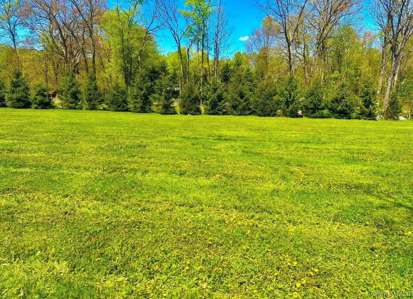 Tbd Lot #2 Quaker Street Wallkill, NY 12589 - Photo 3 of 3