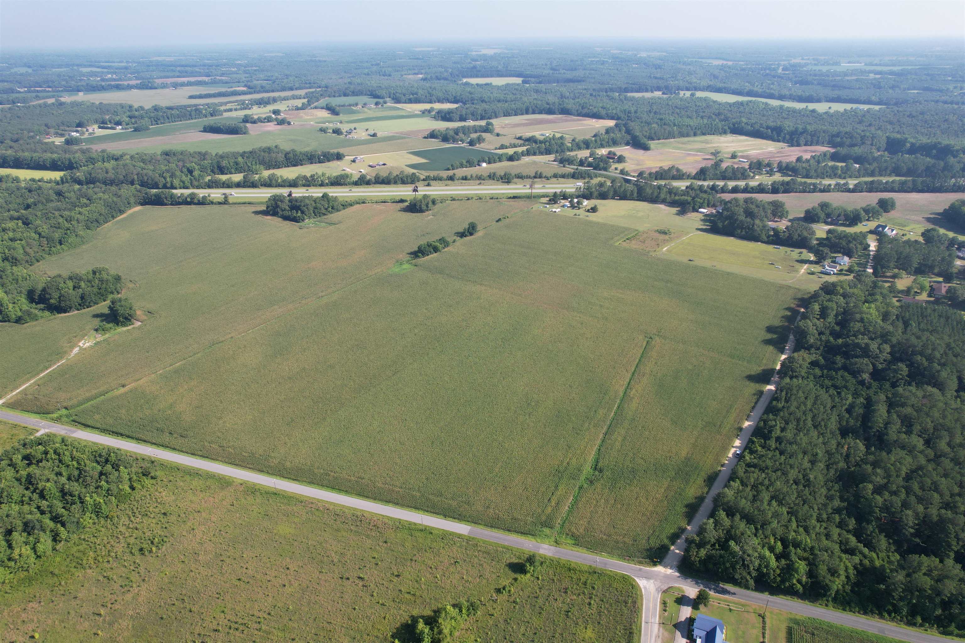 24.36-acres - Newman Swamp Road Lamar, SC 29069 - Photo 3 of 16 Gallery Image 3