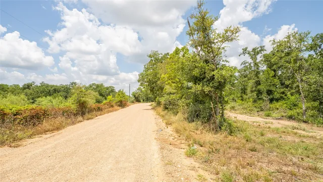 a view of a yard with flower plants