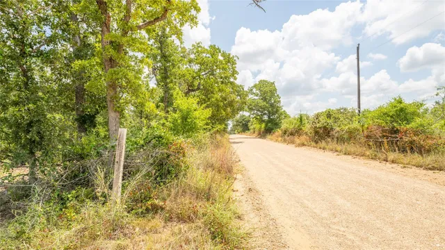 a view of a yard with trees