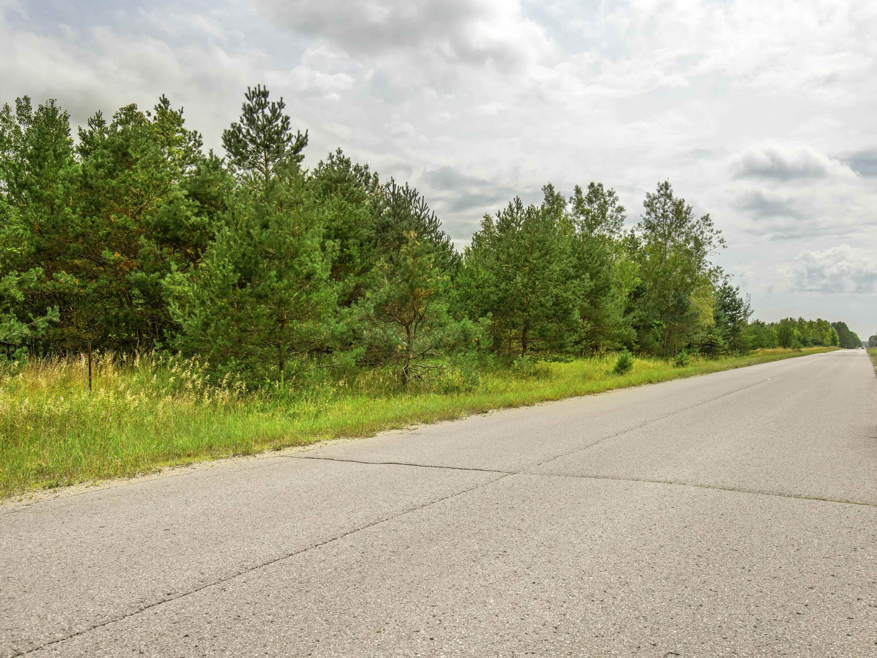 0 Bailey Road Mancelona, MI 49659 - Photo 10 of 12 Gallery Image 10