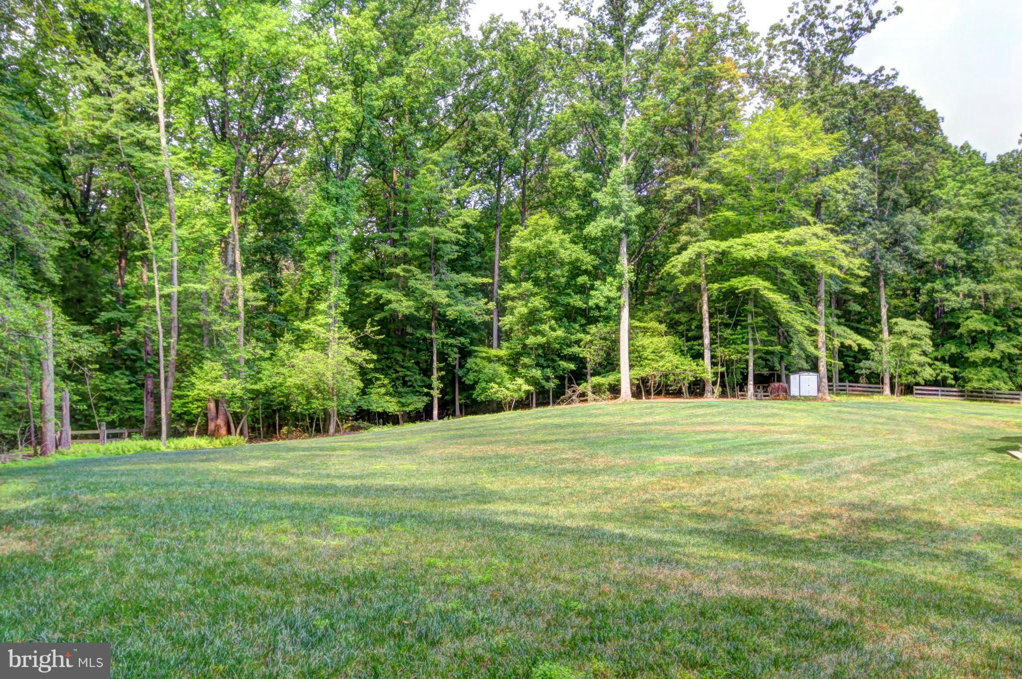 448 Springvale Road Great Falls, VA 22066 - Photo 2 of 30 a big yard with trees in the background