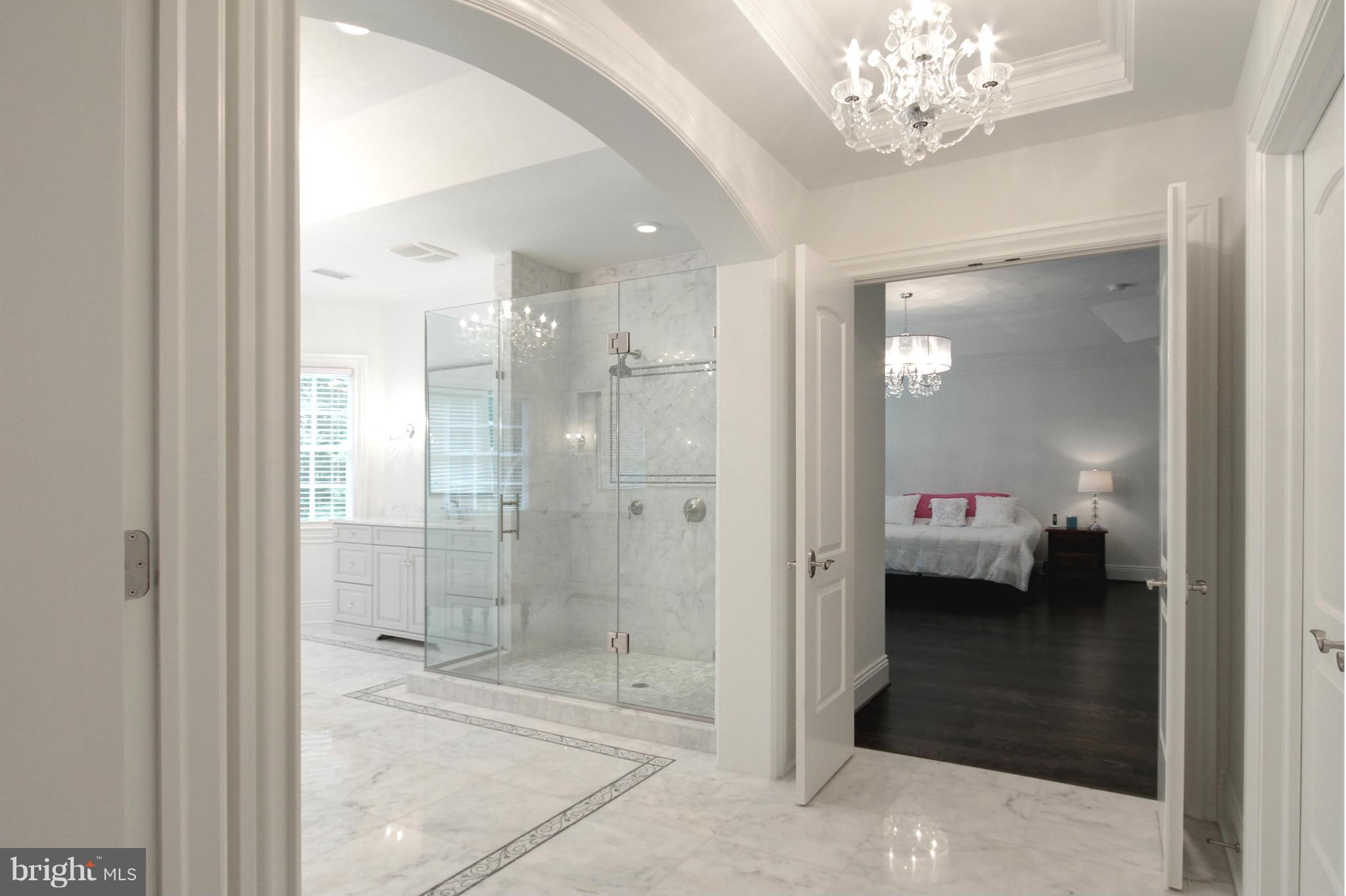448 Springvale Road Great Falls, VA 22066 - Photo 16 of 30 a bathroom with a shower and a mirror
