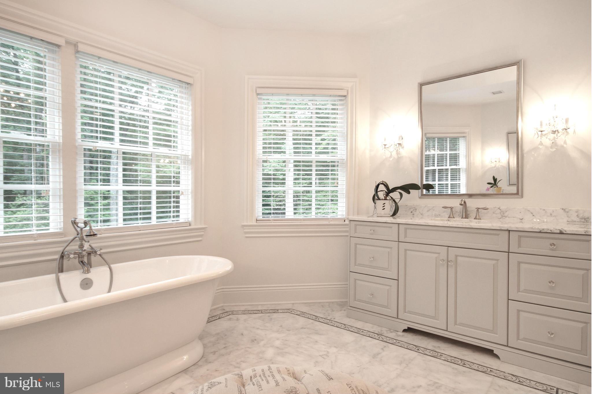 448 Springvale Road Great Falls, VA 22066 - Photo 18 of 30 a bathroom with sink bathtub and window