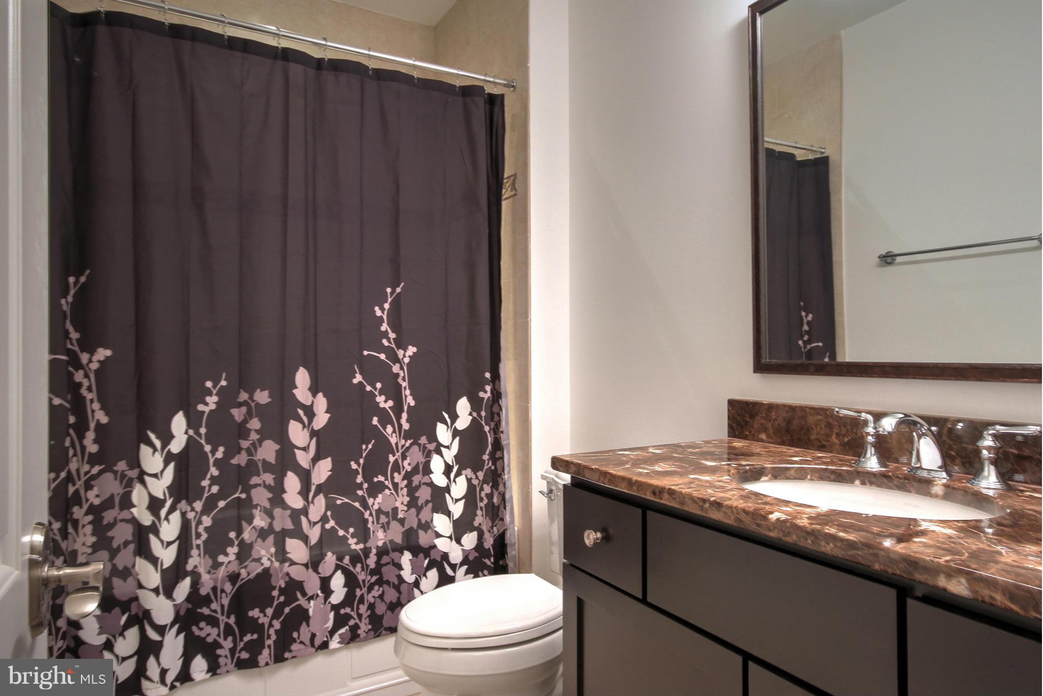 448 Springvale Road Great Falls, VA 22066 - Photo 29 of 30 a bathroom with a granite countertop sink toilet and mirror