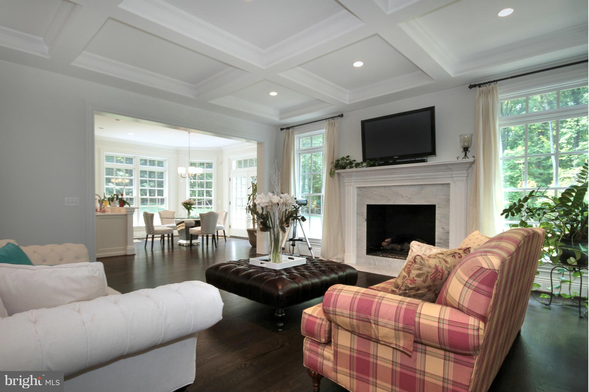 448 Springvale Road Great Falls, VA 22066 - Photo 6 of 30 a living room with furniture fireplace and flat screen tv