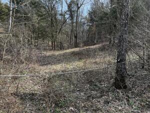 25.71-ac Fork Lick Road Corinth, KY 41010 - Photo 1 of 7 Gallery Image 1