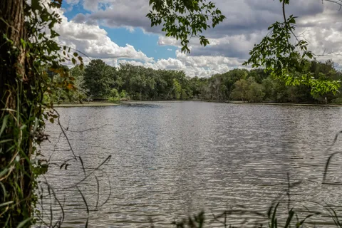 $4,100,000 | 10507 Old Chappell Hill Road, Chappell Hill, TX 77426