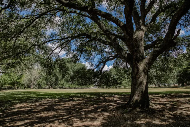 $4,100,000 | 10507 Old Chappell Hill Road, Chappell Hill, TX 77426