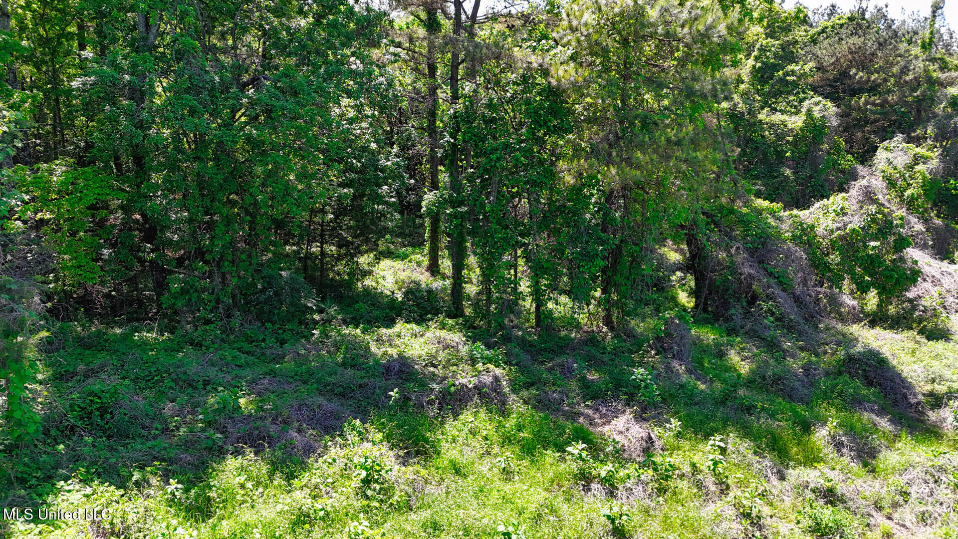 200 Chulahoma Road Holly Springs, MS 38635 - Photo 8 of 14 DJI_20240501151315_0170_D_1