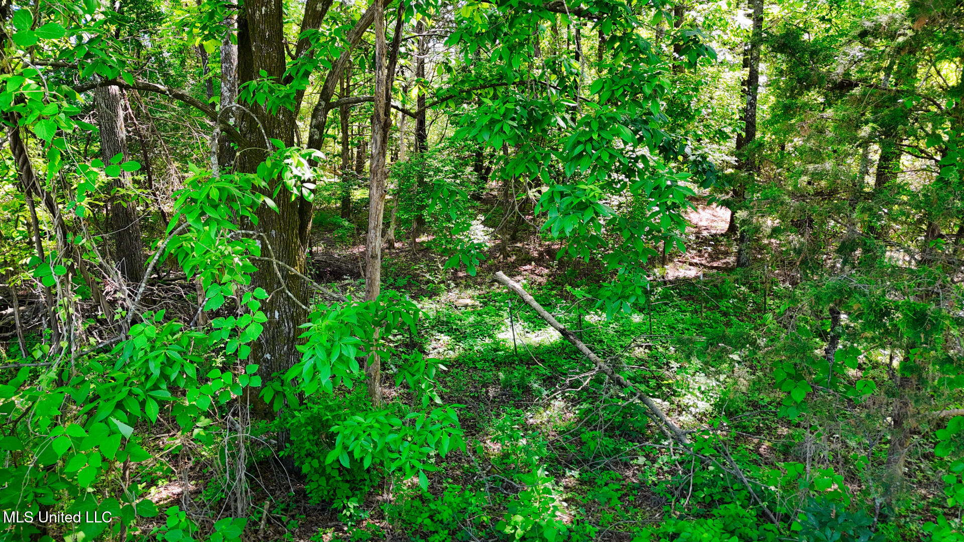 200 Chulahoma Road Holly Springs, MS 38635 - Photo 9 of 14 DJI_20240501151347_0177_D_1