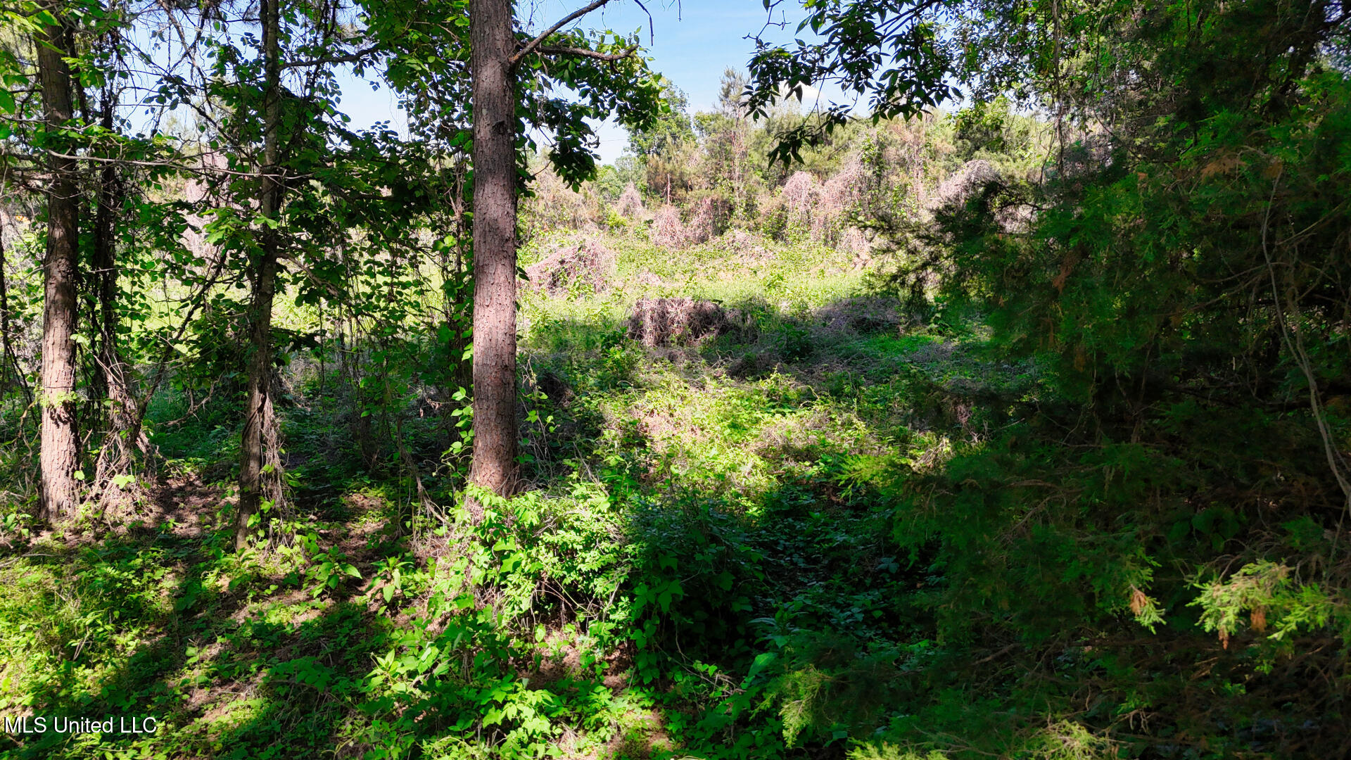 200 Chulahoma Road Holly Springs, MS 38635 - Photo 10 of 14 DJI_20240501151406_0183_D_1
