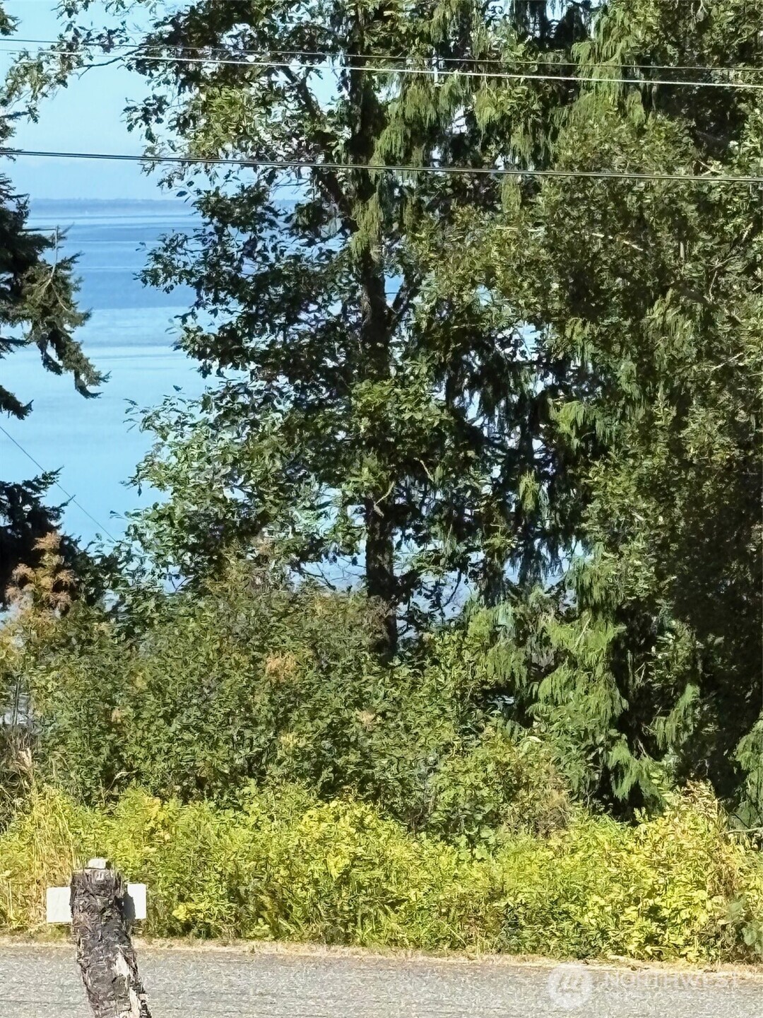 4904 Roney Road Bow, WA 98232 - Photo 3 of 16